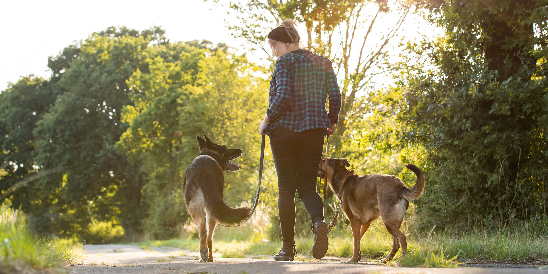 Leinenfuehrigkeit im Hundetraining bei Schnauzenart in Burgdorf Hannover